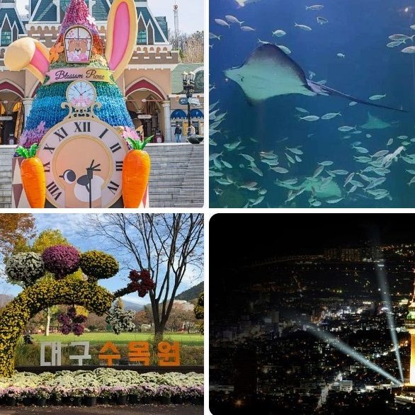 대구 가볼만한곳 추천