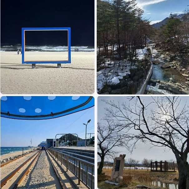 강릉 가볼만한곳 추천