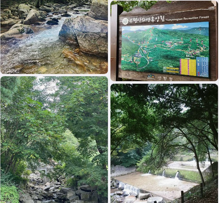유명산