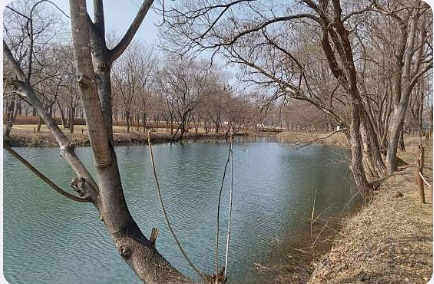 자라섬 1