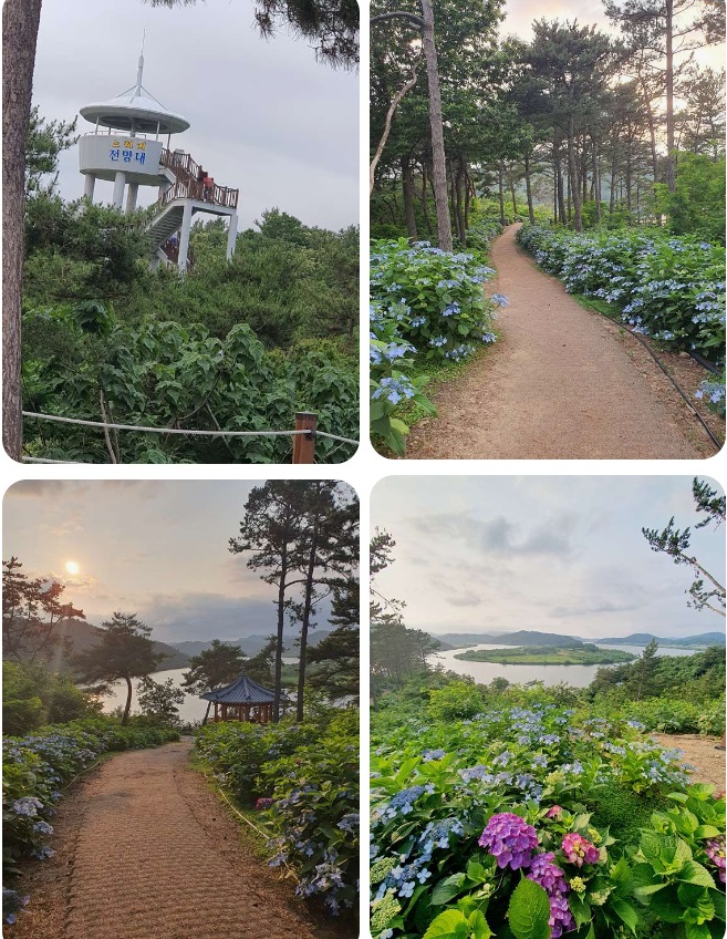 느러지전망관람대