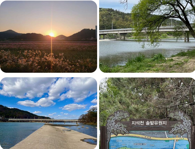 드들강솥밭유원지