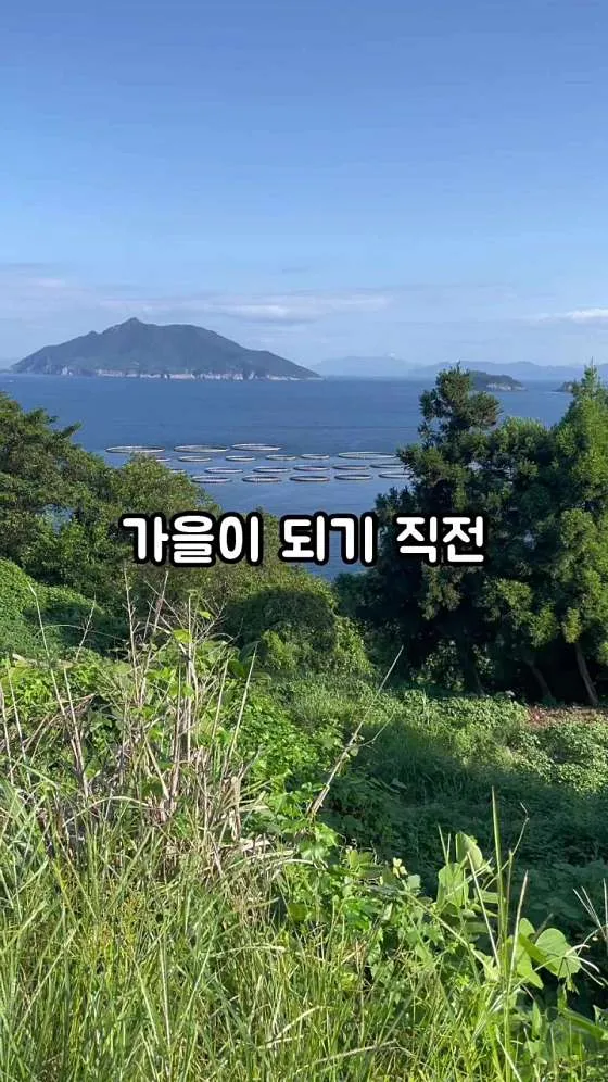 통영 현지인 맛집 추천 베스트 10 | 숨은 맛집 2 루미노소 향수 공방 1