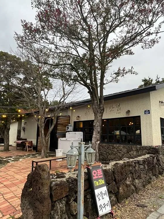 앞뜰에 쭈꾸미