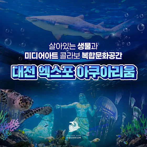 대전 놀거리 추천 베스트 10 | 데이트 코스 7 대전 엑스포 아쿠아리움