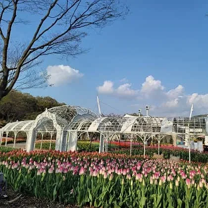대전 놀거리