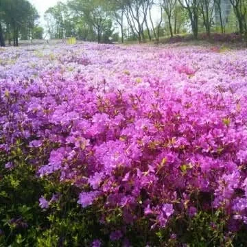 군포 놀거리