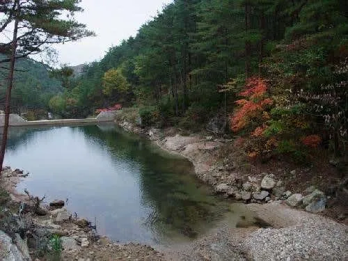 검봉산자연휴양림