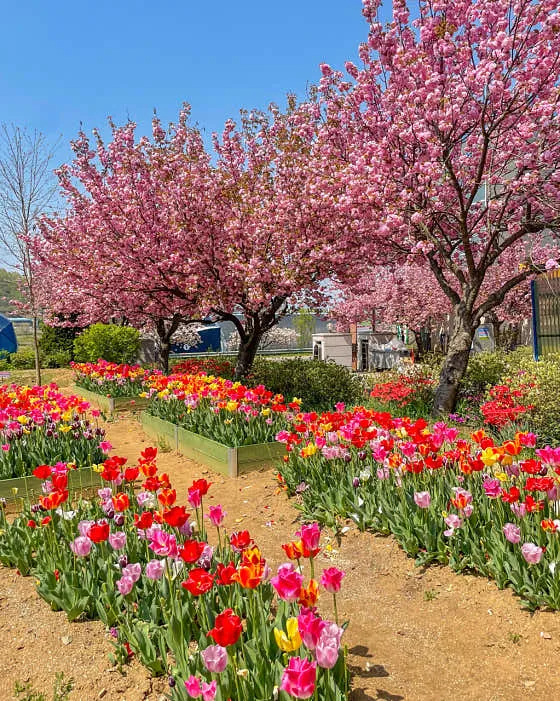 농심테마파크