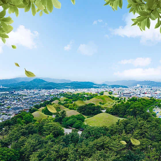 경주 놀거리 추천 베스트 10 | 여행 코스 8 동궁과 월지