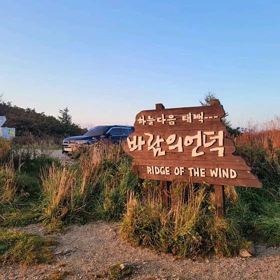 태백 놀거리