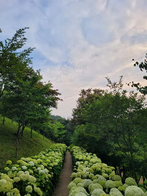 삼선산수목원