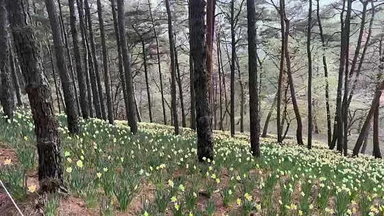 서산 놀거리 추천 베스트 10 | 여행 코스 4 서산유기방가옥
