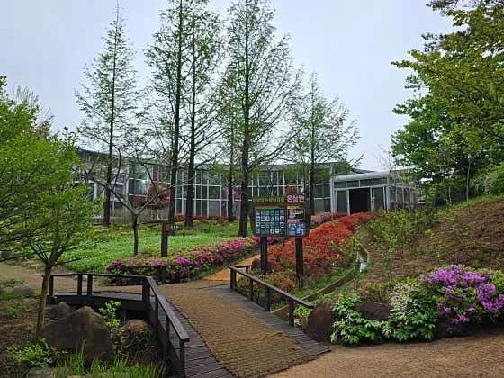 속초 놀거리 추천 베스트 10 8 설악산자생식물원