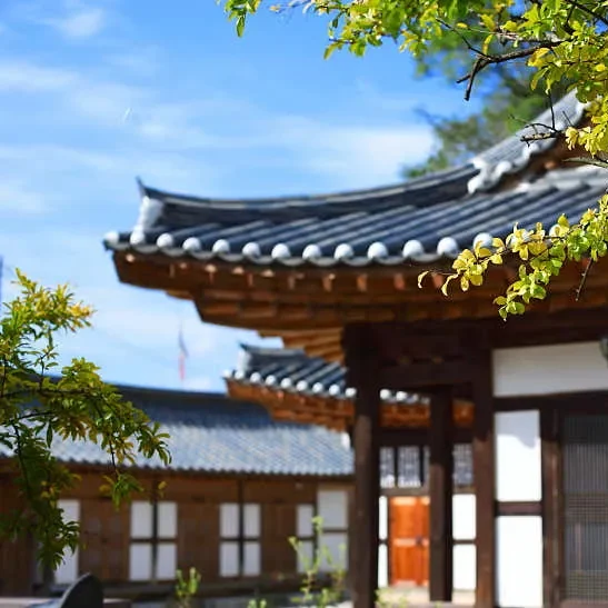 전주 놀거리