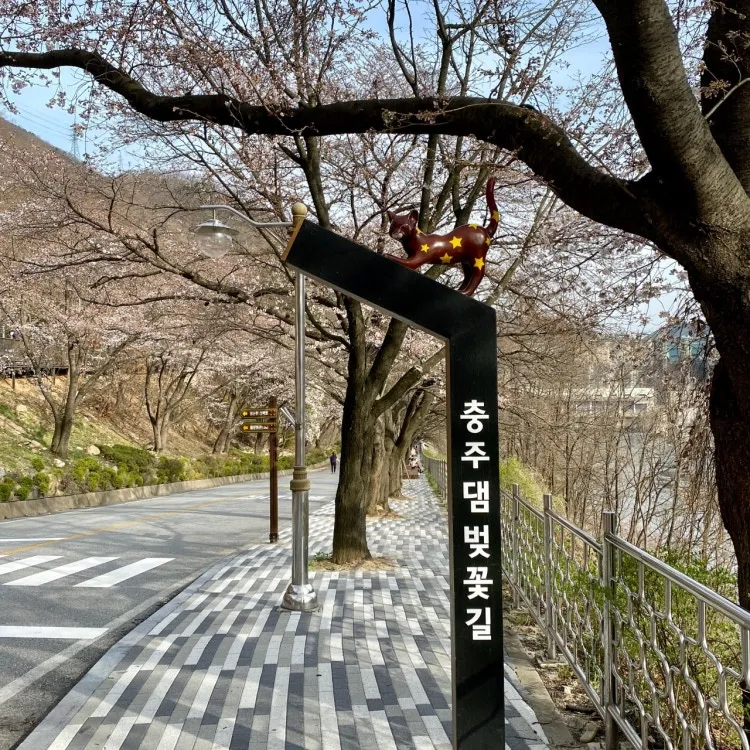 충주 놀거리