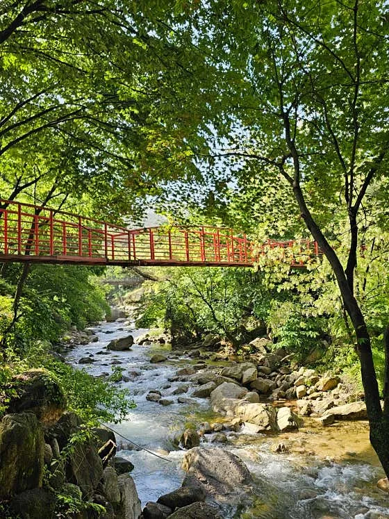 덕양 맛집 추천 베스트 10 | 고양 현지인 추천 10 북한산플레이