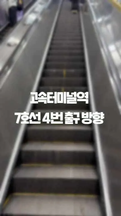 반포 맛집 추천 베스트 10 | 현지인 찐맛집 9 일상정원 센트럴시티점