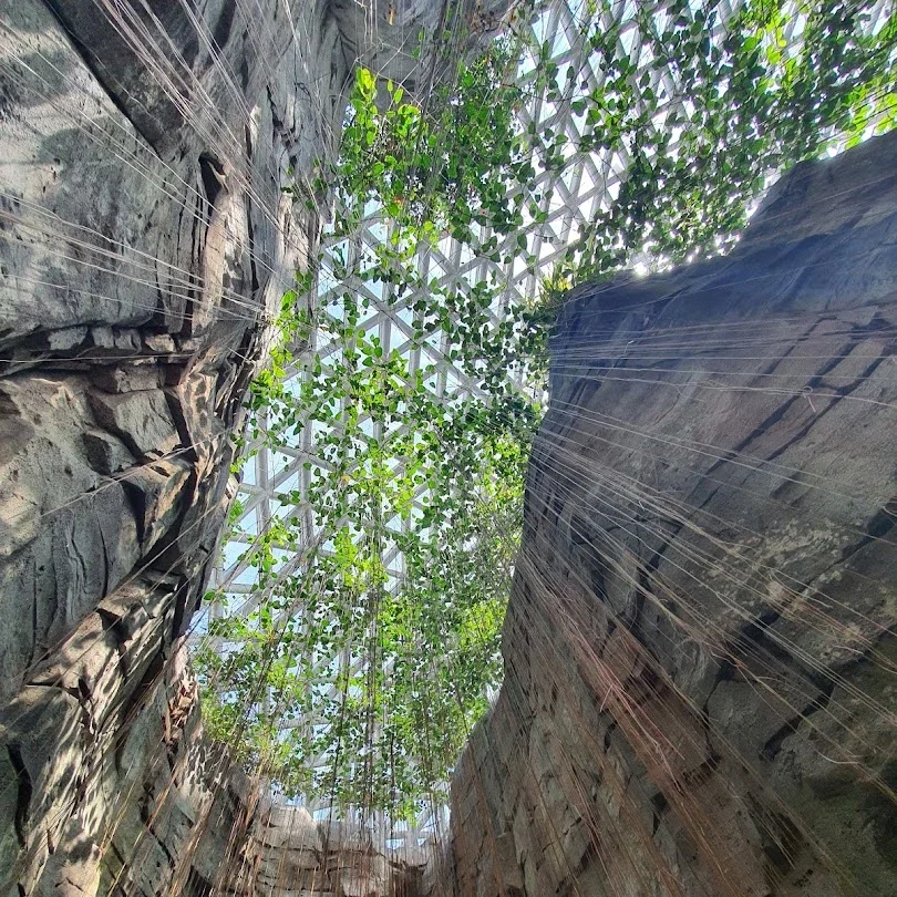 거제 식물원
