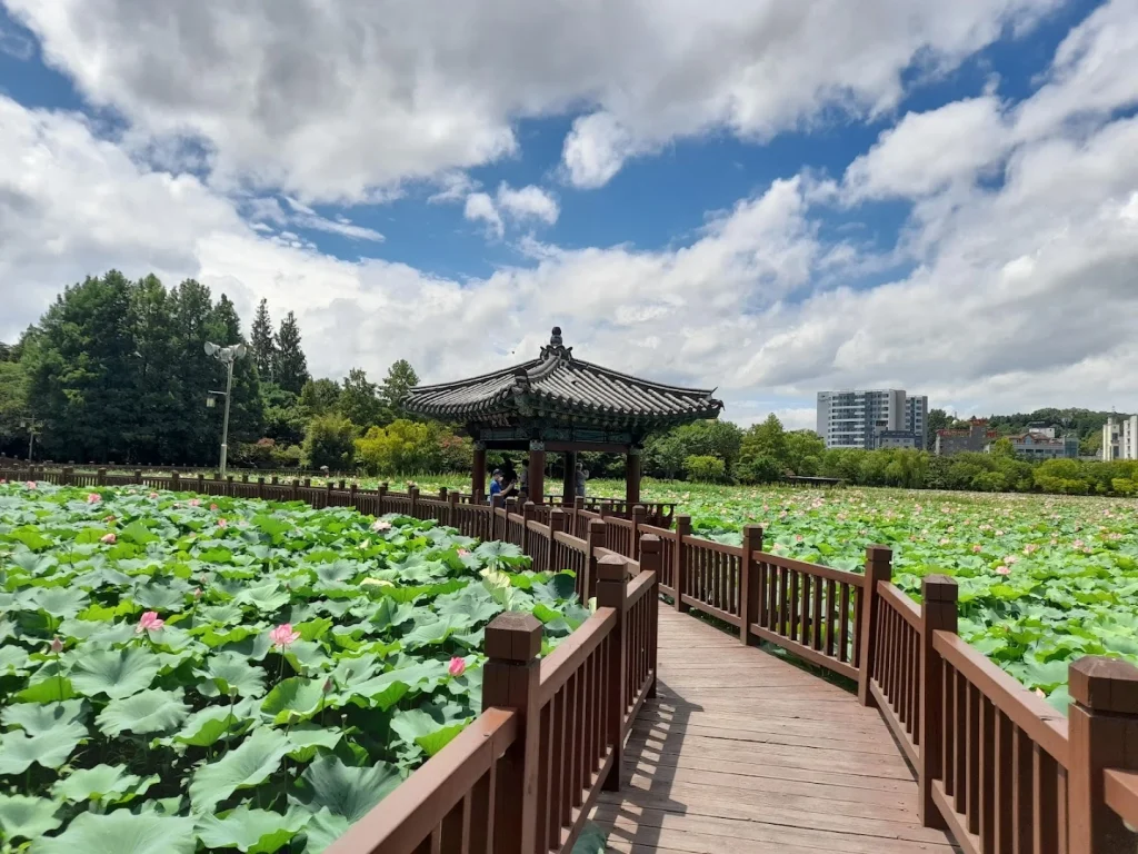 전주 덕진공원 방문 후기 | 입장료 운영시간 | 주차 지도 위치 3 전주 덕진공원 3