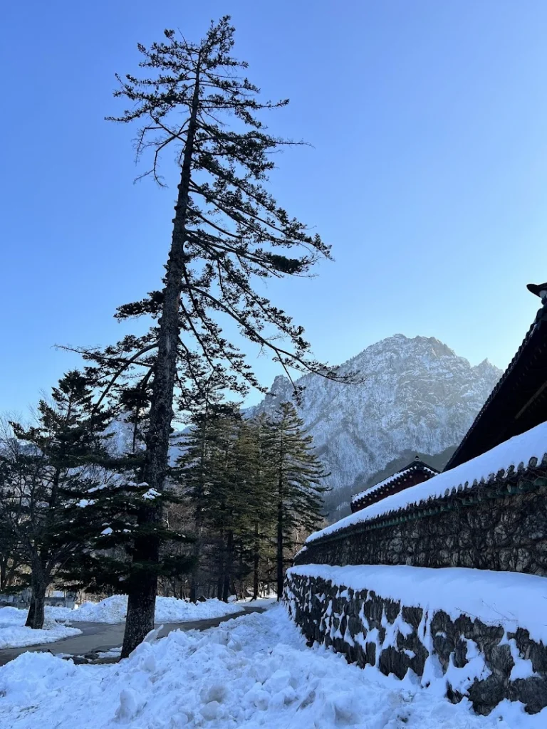 설악산 신흥사 2