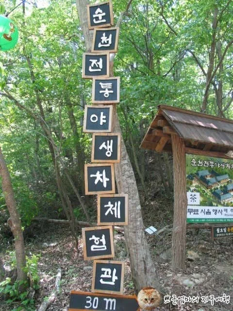 순천 실내 놀거리
