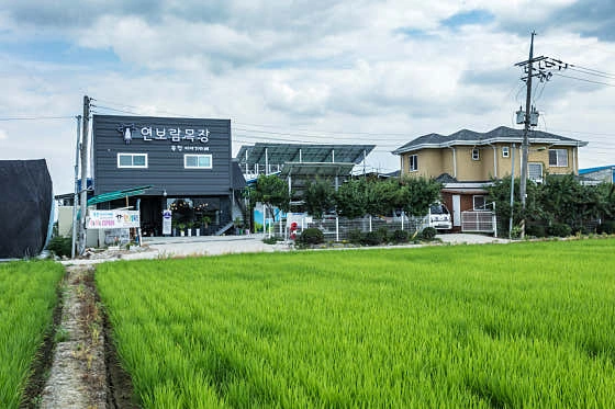 연보람목장1