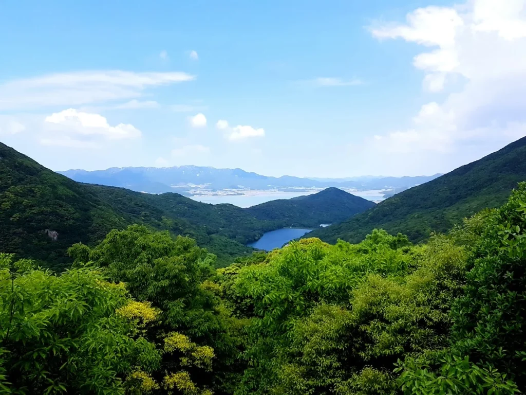 완도수목원 4