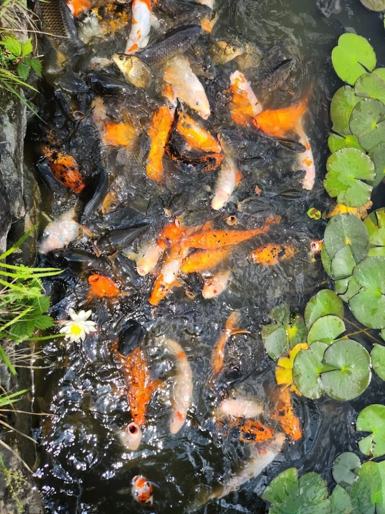 운림산방 3