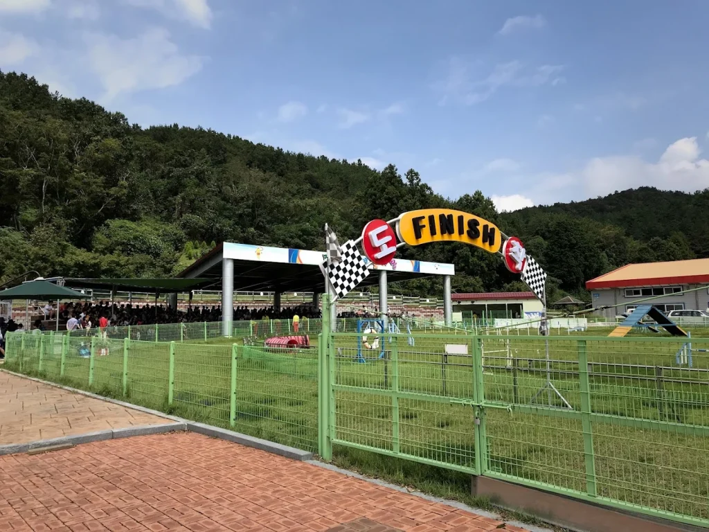 진도개테마파크 1