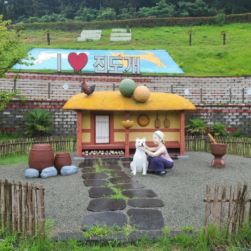 진도개테마파크 6