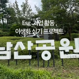 이태원 놀거리