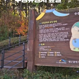 수성못 놀거리